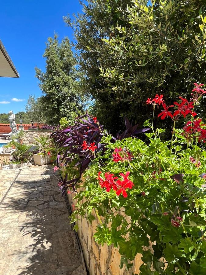 Apartmán With Swimming Pool Jelsa (Hvar)